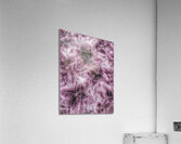V1187 Acrylic Print