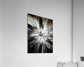 V1194 Acrylic Print