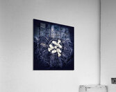 V1202 Acrylic Print