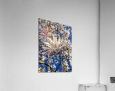 V1203 Acrylic Print