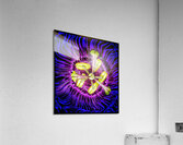 V1219 Acrylic Print
