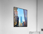 V1223 Acrylic Print