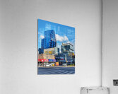 V1227 Acrylic Print