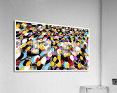 V1229 Acrylic Print