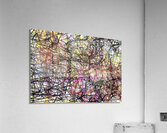 V1230 Acrylic Print