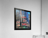V1234 Acrylic Print