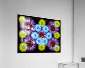 V1244 Acrylic Print
