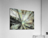 V1245 Acrylic Print