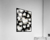 V1246 Acrylic Print