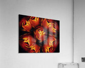 V1270 Acrylic Print