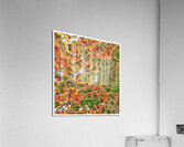 V1273 Acrylic Print