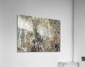 V1278 Acrylic Print