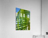 V1281 Acrylic Print