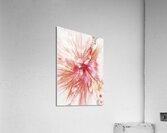V1285 Acrylic Print