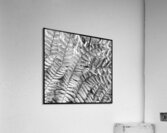 V1289 Acrylic Print