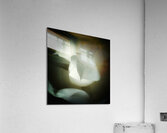 V1291 Acrylic Print