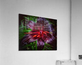 V1292 Acrylic Print