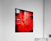 V1299 Acrylic Print