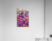 V1305 Acrylic Print