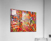 V1309 Acrylic Print