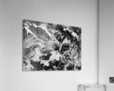 V1313 Acrylic Print