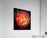 V1327 Acrylic Print