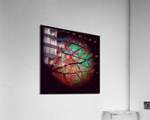 V1330 Acrylic Print