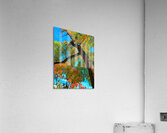 V1333 Acrylic Print