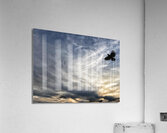 V1338 Acrylic Print