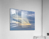 V1343 Acrylic Print