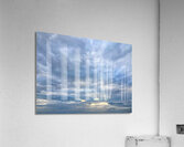 V1344 Acrylic Print