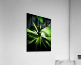 V1347 Acrylic Print