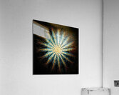V1356 Acrylic Print