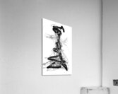V1358 Acrylic Print