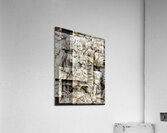 V1361 Acrylic Print