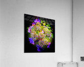 V1363 Acrylic Print