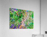 F1365 Acrylic Print