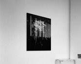 V1366 Acrylic Print