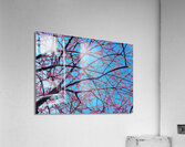 V1368 Acrylic Print
