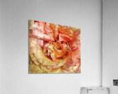 V1371 Acrylic Print