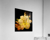 V1372 Acrylic Print