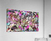 V1376 Acrylic Print