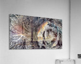 V1378 Acrylic Print