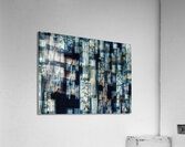 V1379 Acrylic Print