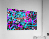 V1380 Acrylic Print