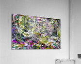 V1381 Acrylic Print