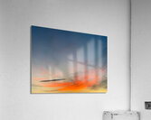 V1383 Acrylic Print