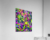 V1391 Acrylic Print
