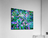 V1392 Acrylic Print