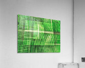 V1393 Acrylic Print